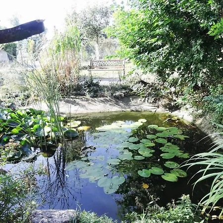 펜션 In Karnocicie By Szczecin Lagoon *